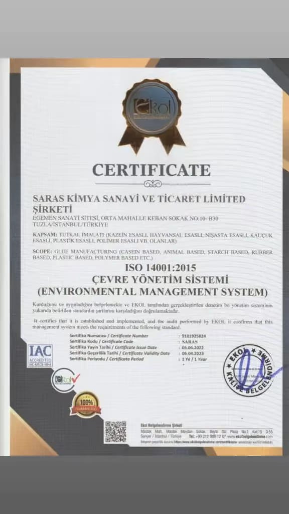 Certificate 2