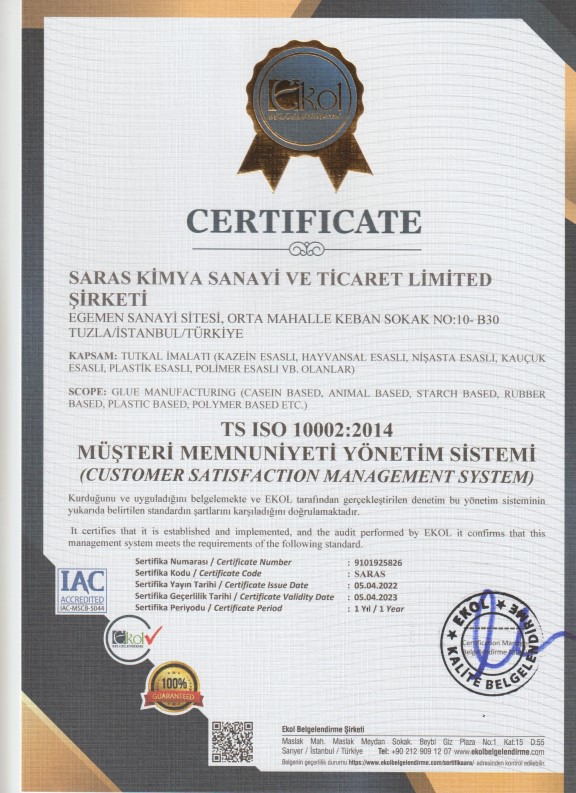 Certificate 5